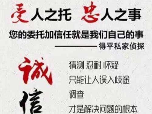 杜尔伯特侦探调查所可以帮助解决婚姻问题吗